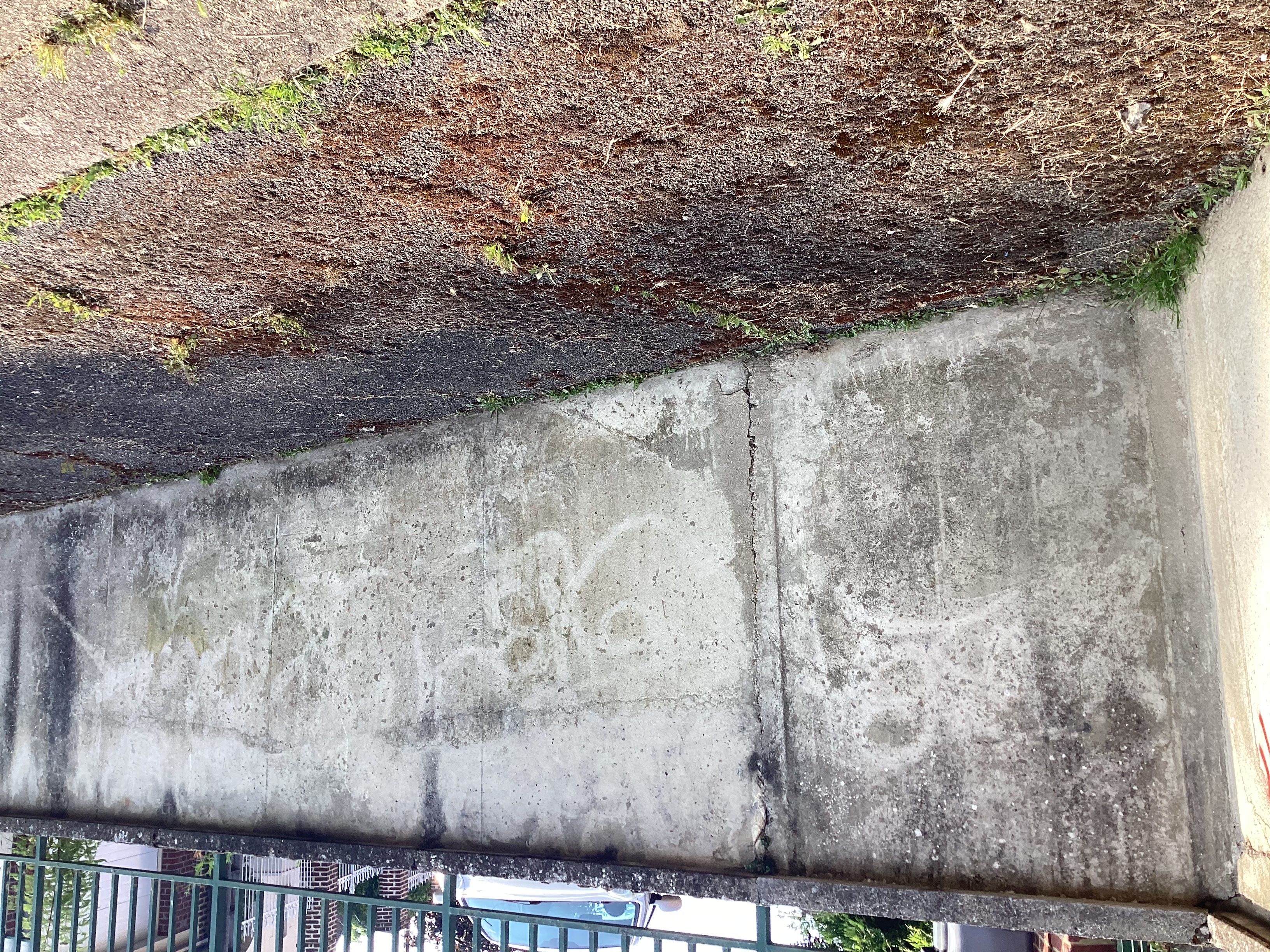 Image média: Îlot de fraîcheur et biodiversité à l’entrée de la zup argentine