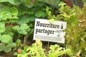 5ede748068267_incroyables-comestibles-als280713.jpg
