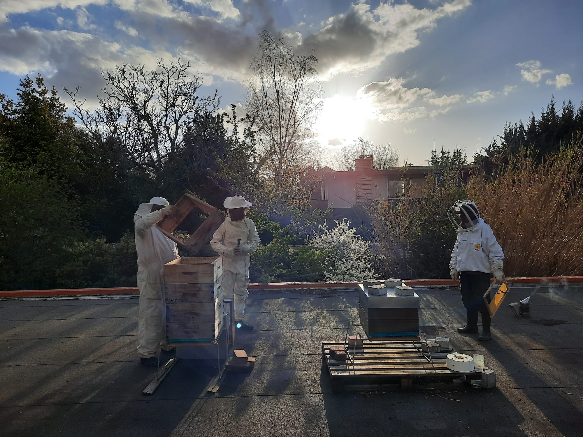 Image média: Création d’un Rucher Pédagogique par l’association du Centre Nature de Colombes