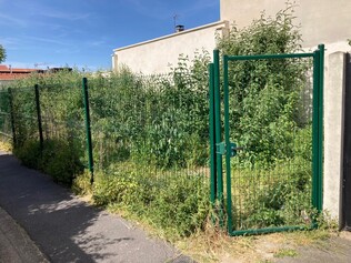 espace vide avenue marcel auguste.jpg