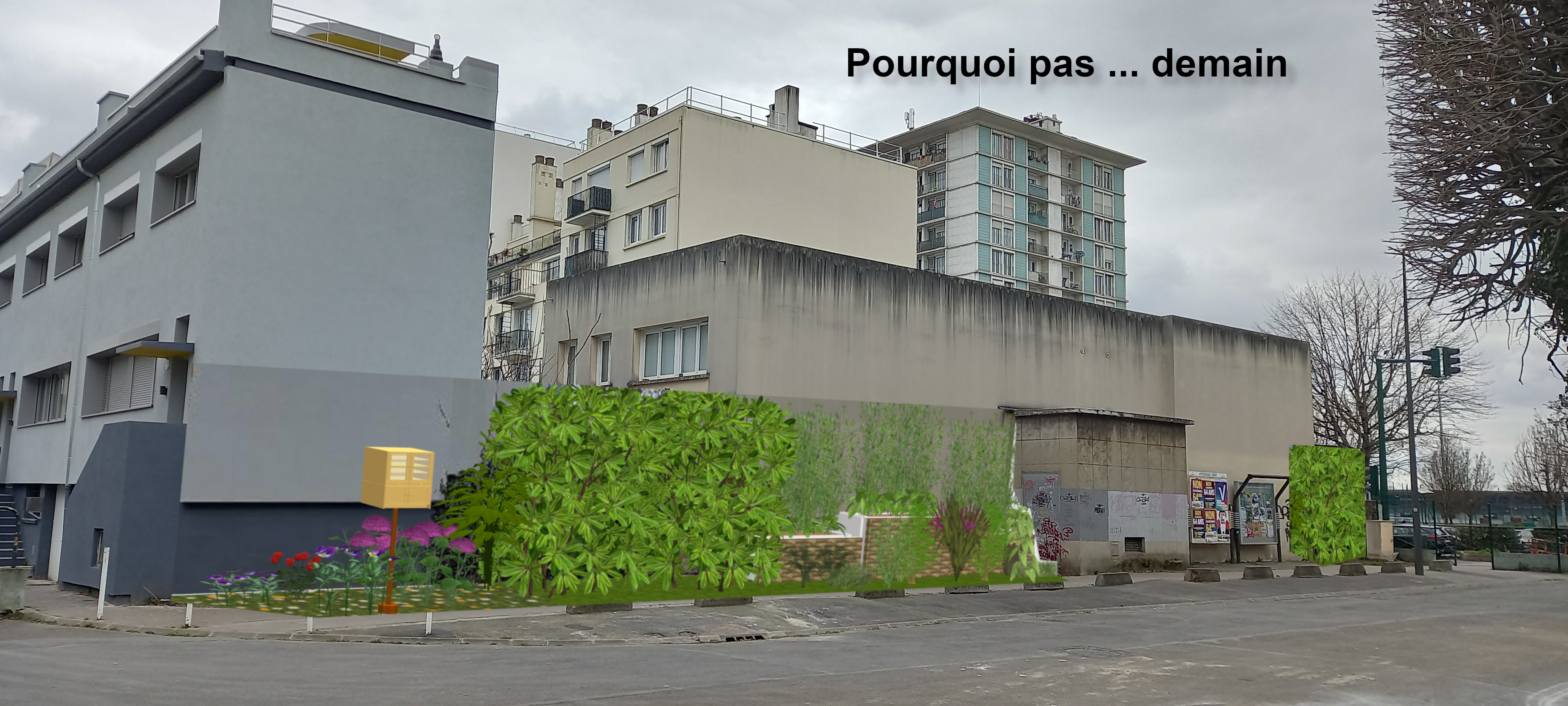 Image média: Aménagement végétal du chemin d’accès vers l’école Marcelin Berthelot