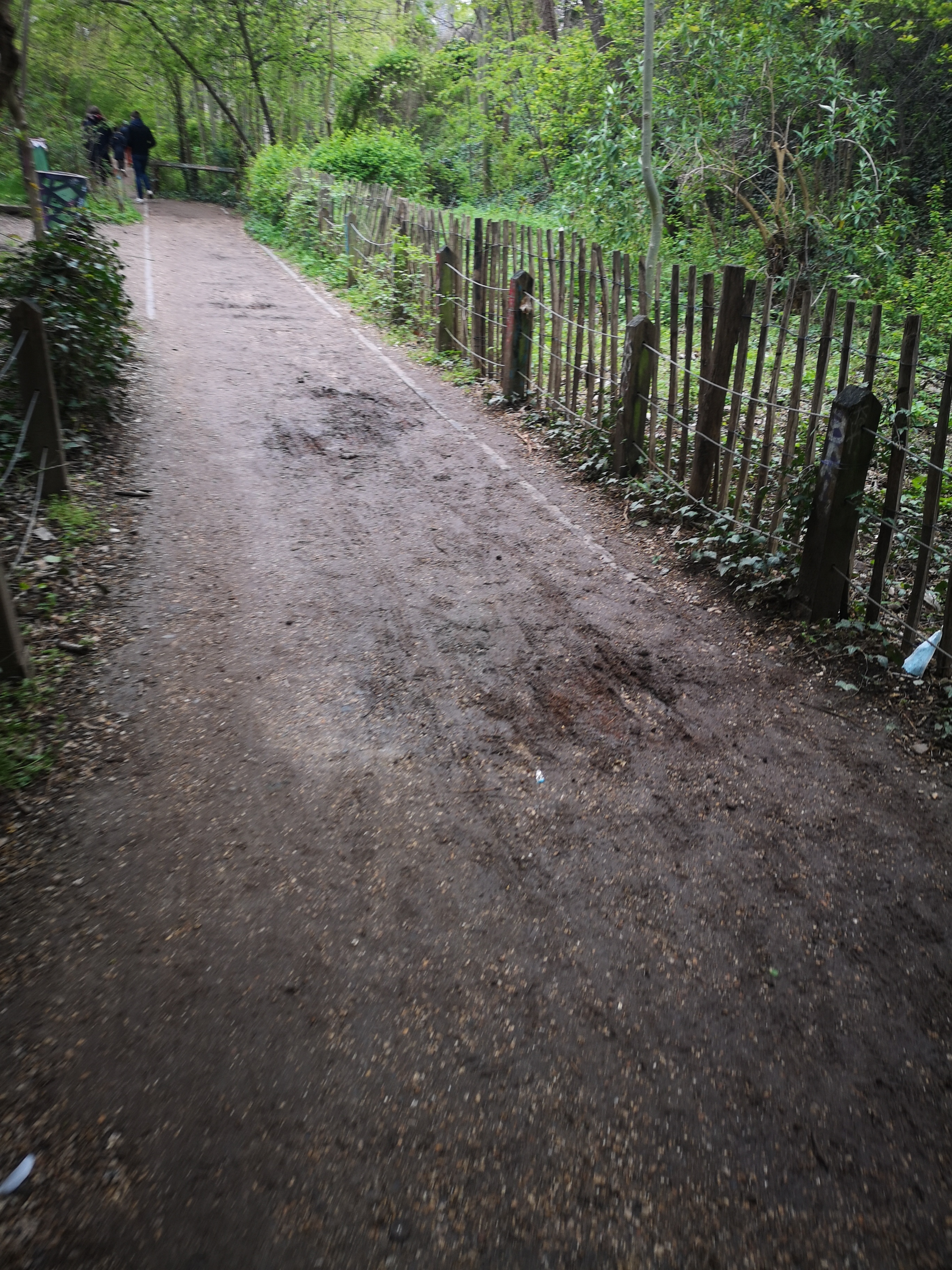 Image média: Changer le revetement de la coulée verte - Partie Gare de colombes jusqu'au wagon