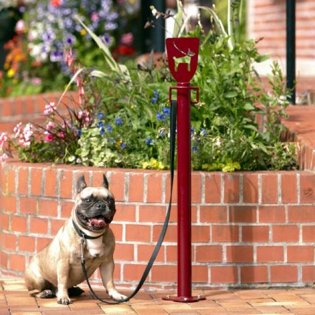 Image média: Projet N°1 : Des anneaux d'attache pour nos animaux