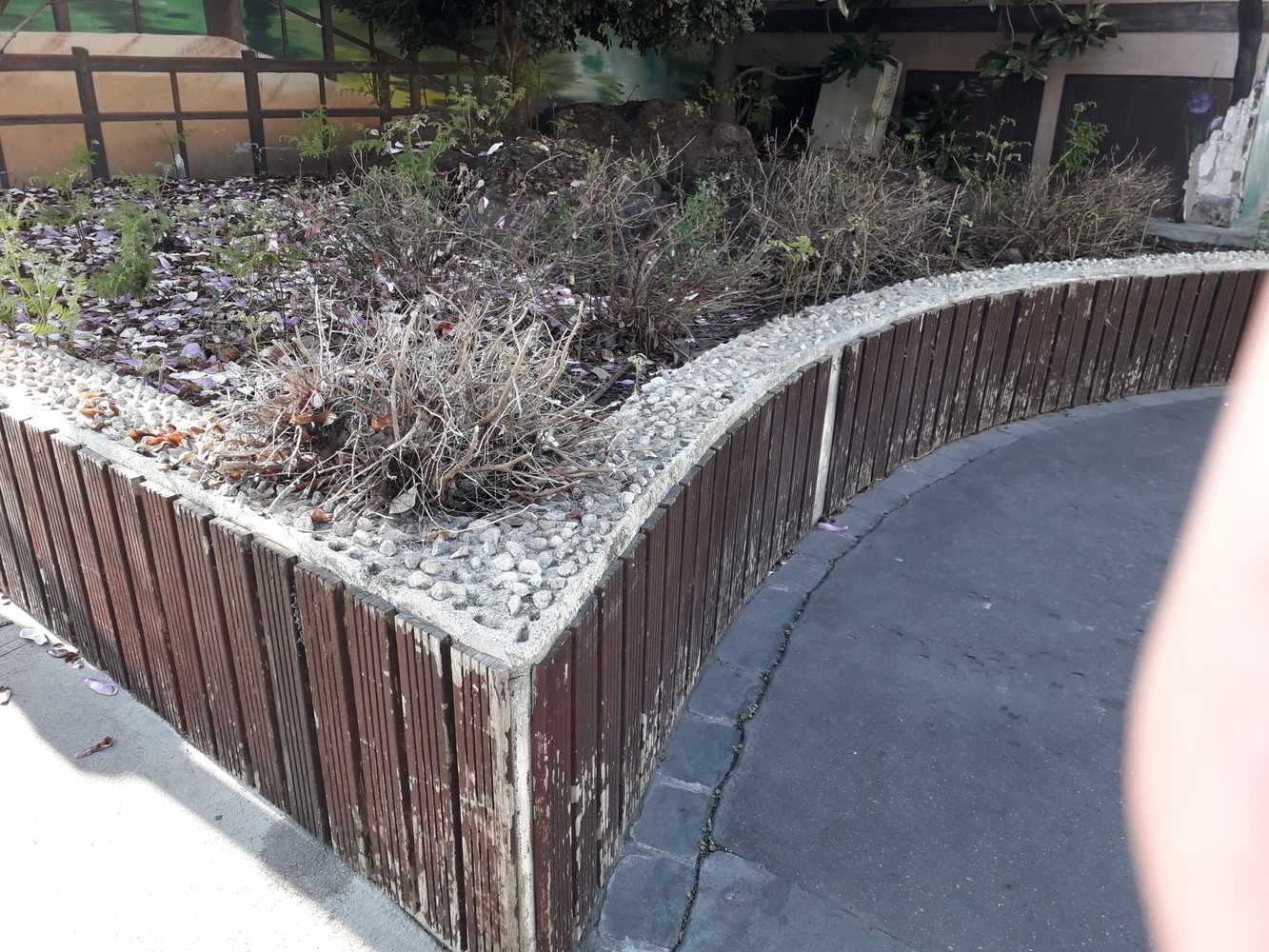 Image média: Projet N°14 : Création d'un espace de repos et de lecture à l'angle Progrès/Marceau