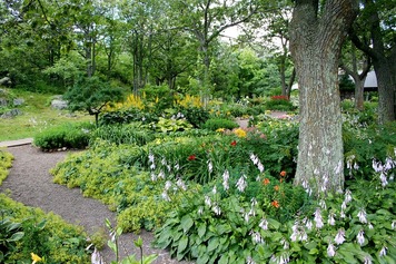 jardin libre de droit.jpg