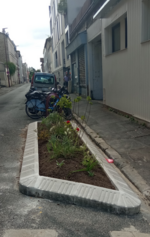 Végétaliser la ville