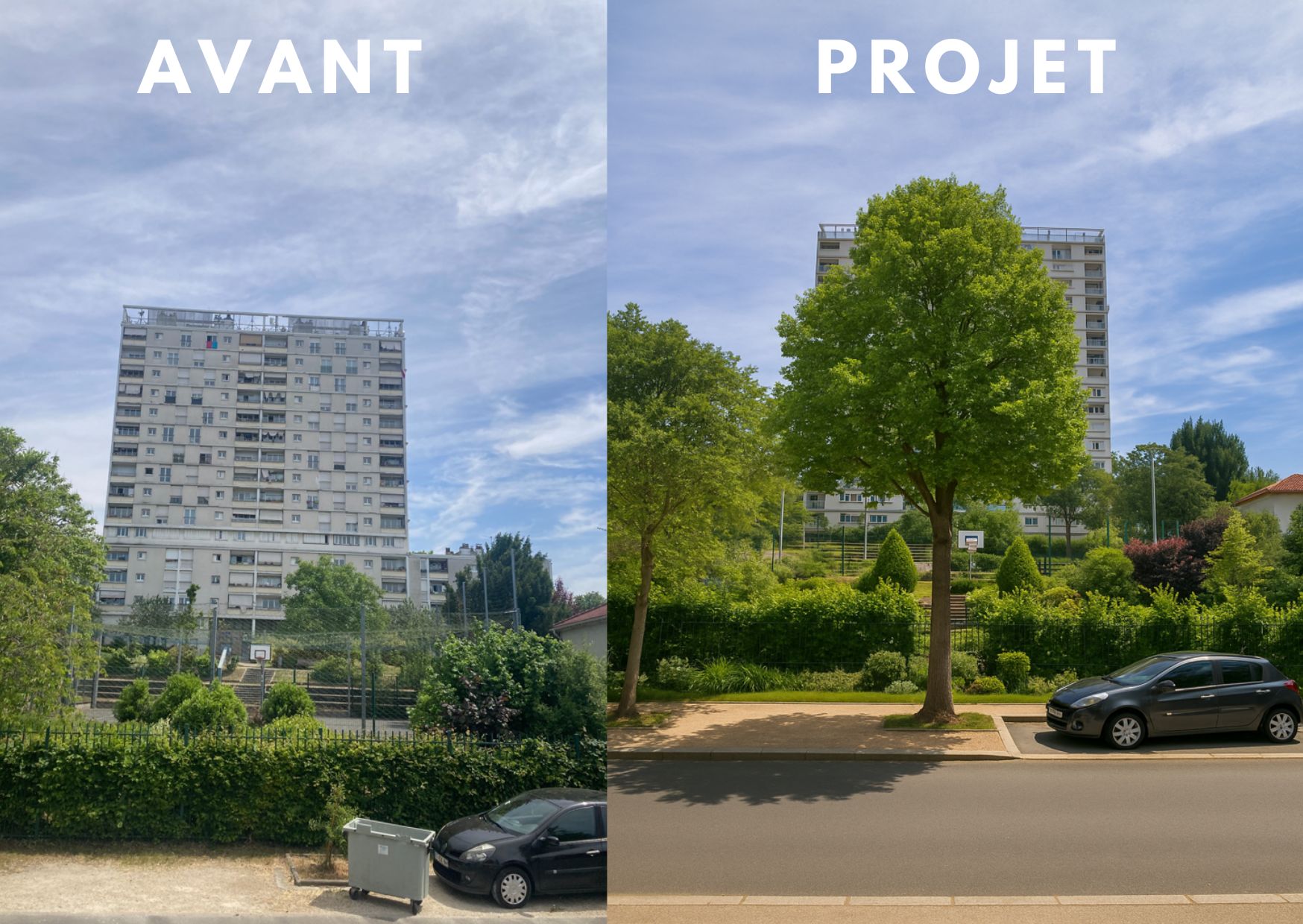 Image média: Un arbre pour transformer le paysage et notre cadre de vie