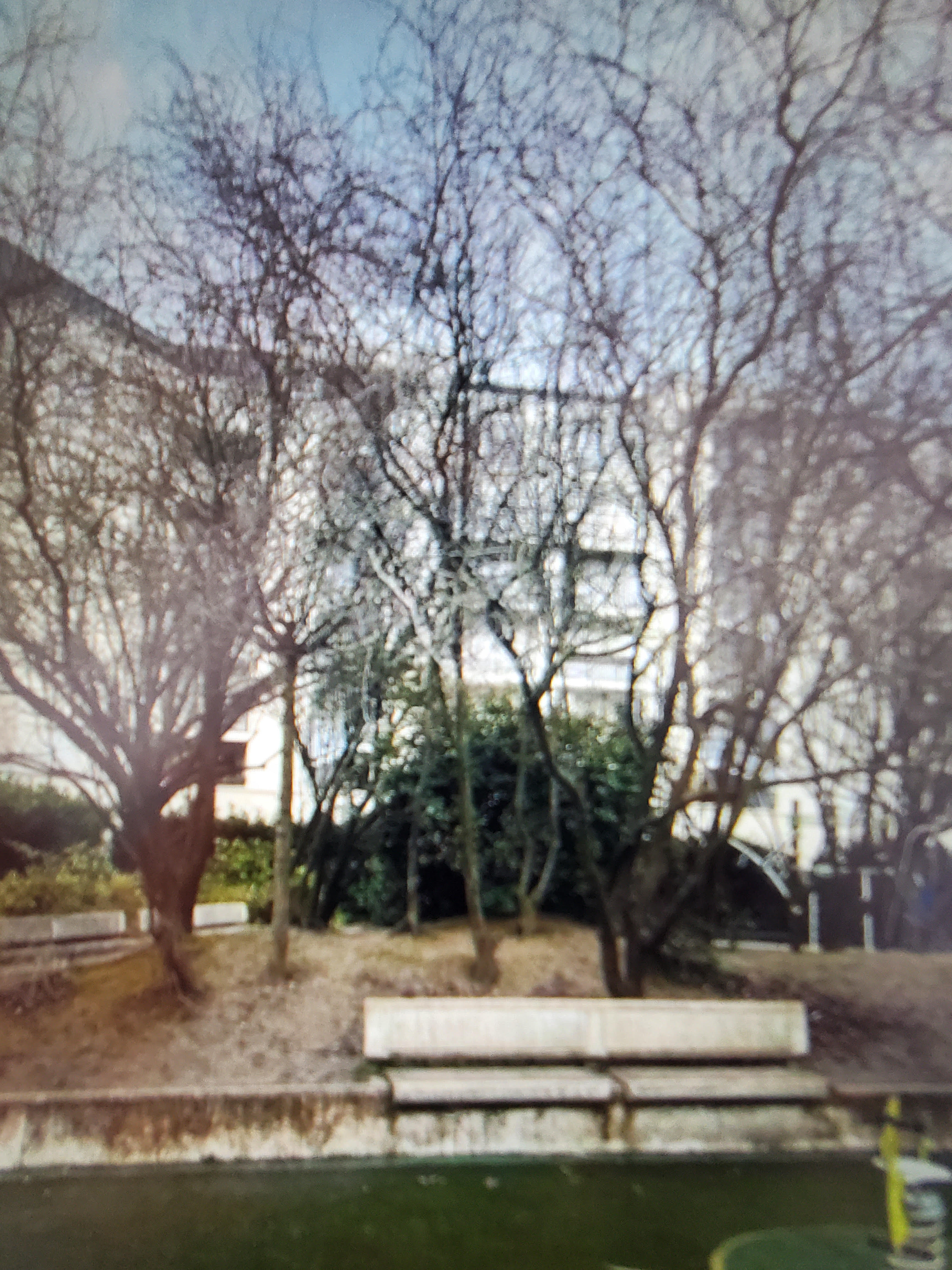 Image média: Changeons les bancs en béton