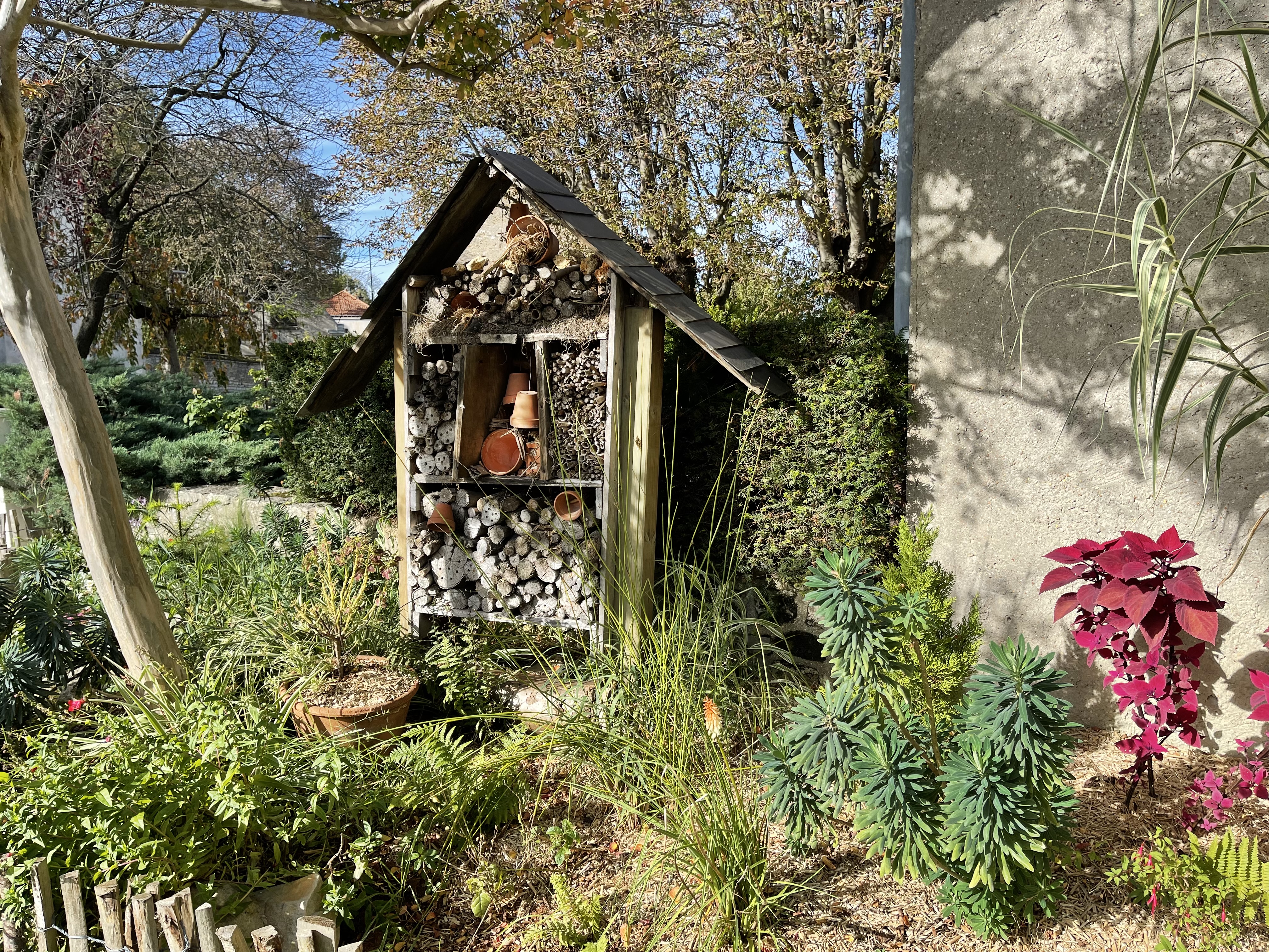 Image média: 6 - Planter des arbres et arbustes dans le quartier Ouest-Sud