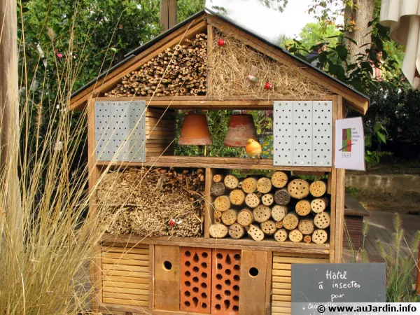 Image média: Installer des hôtels à insectes