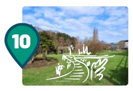 Image média: Projet n°10 : Jardin sensoriel inclusif