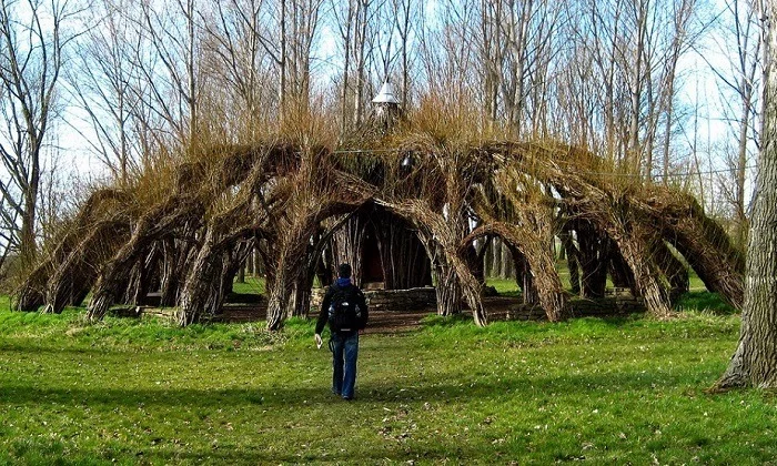 Image média: Installer des structures végétales