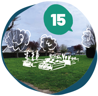 Image média: Projet n°15 : Un jardin partagé dans le quartier des Prairies