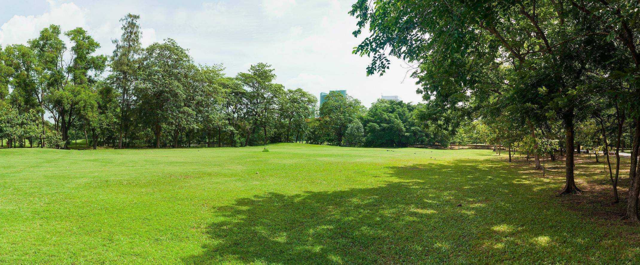Image média: Parc création/réhabilitation