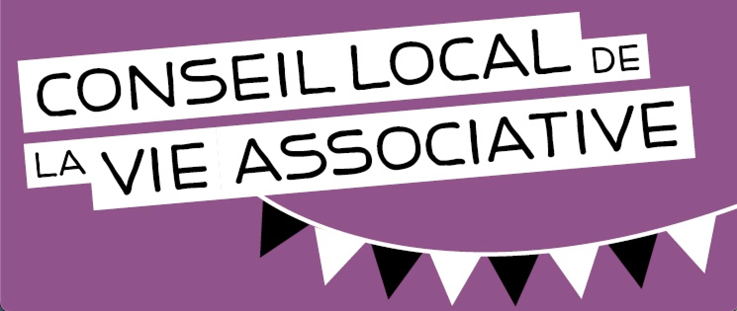 Image média: Conseil local de la vie associative