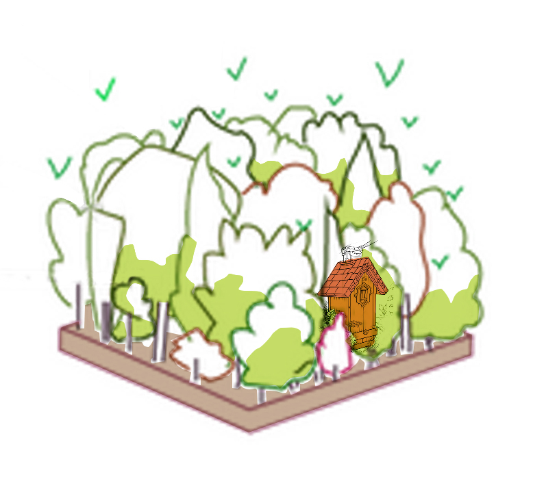 Image média: Un chalet dans les bois