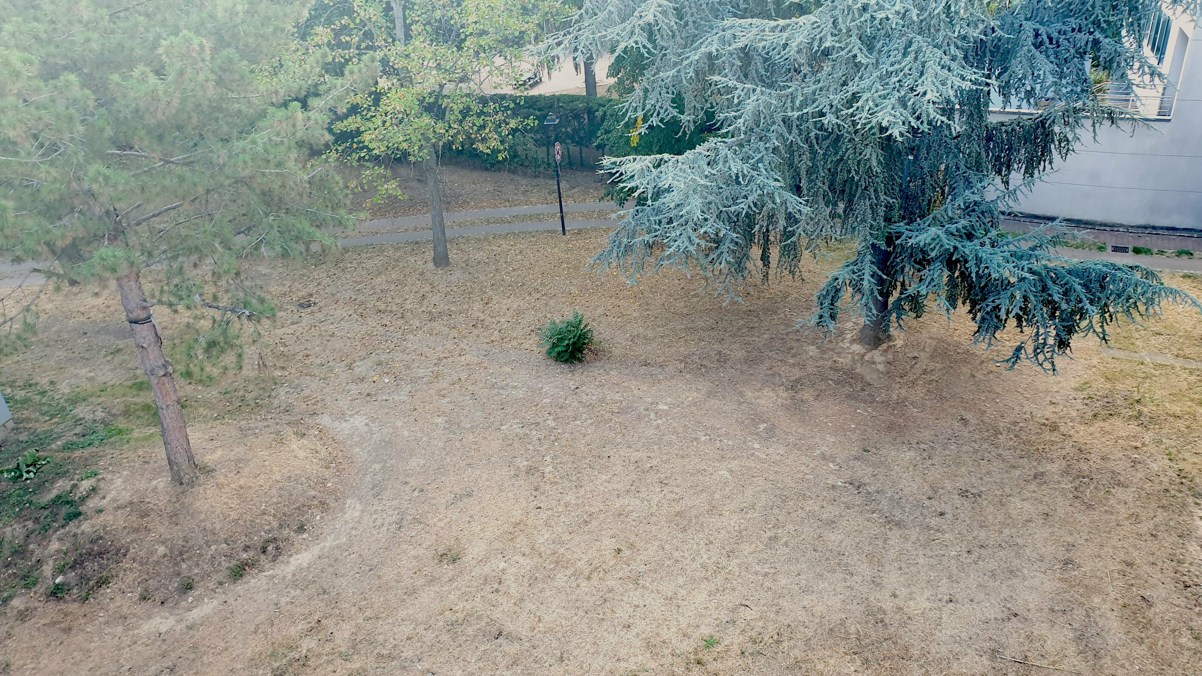 Image média: Parcours aromatique et floral au square du tir