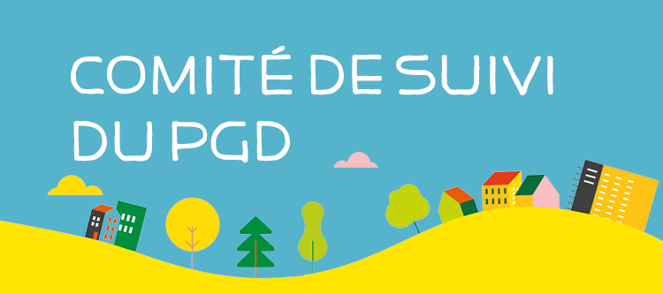 Image média: Comité de suivi du PGD