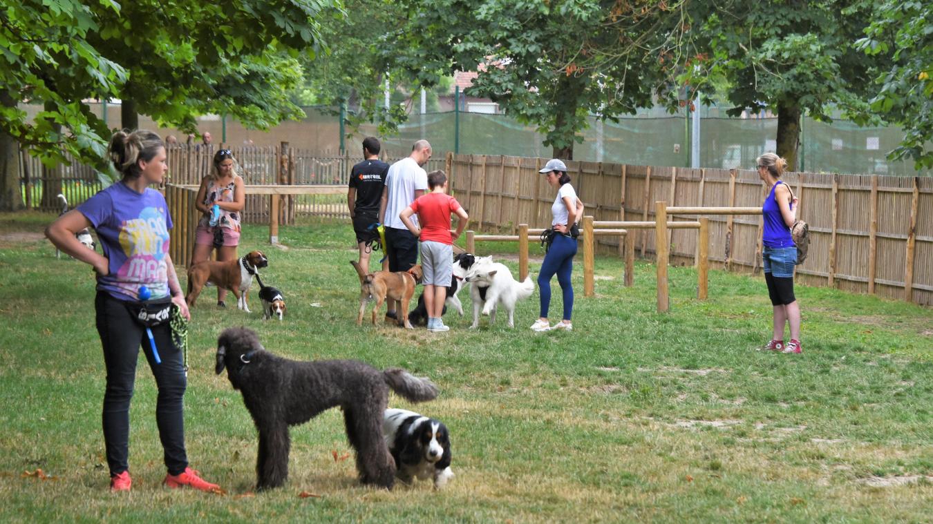 Image média: Jardin canin partagé