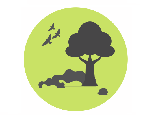 Image média: Création d’abris pour la faune