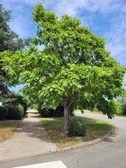20230719_153055.jpg