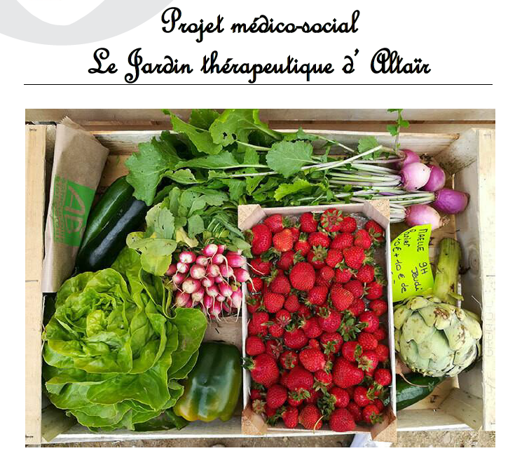 Image média: Projet médico-social: le jardin thérapeutique