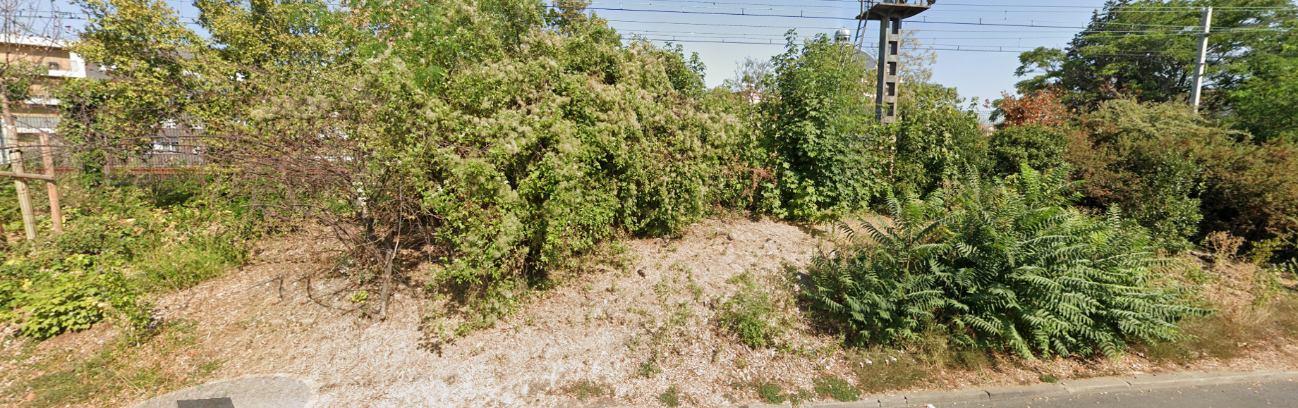 Image média: Biodiversité dans le Quartier