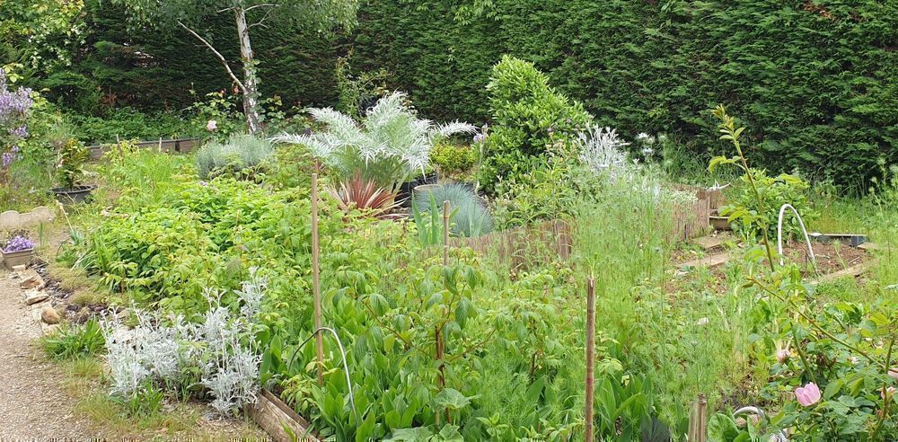 Image média: Permis de végétaliser