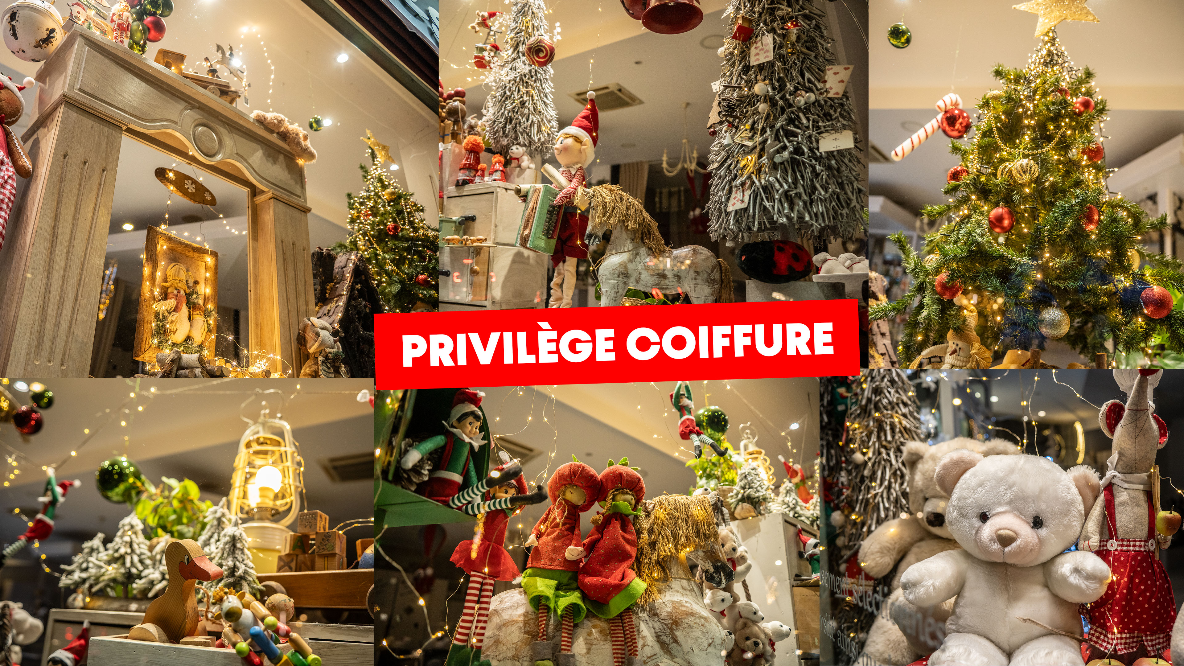 privilege_coiffure