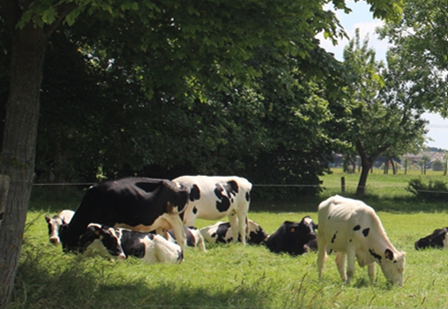 Image média: Agriculture