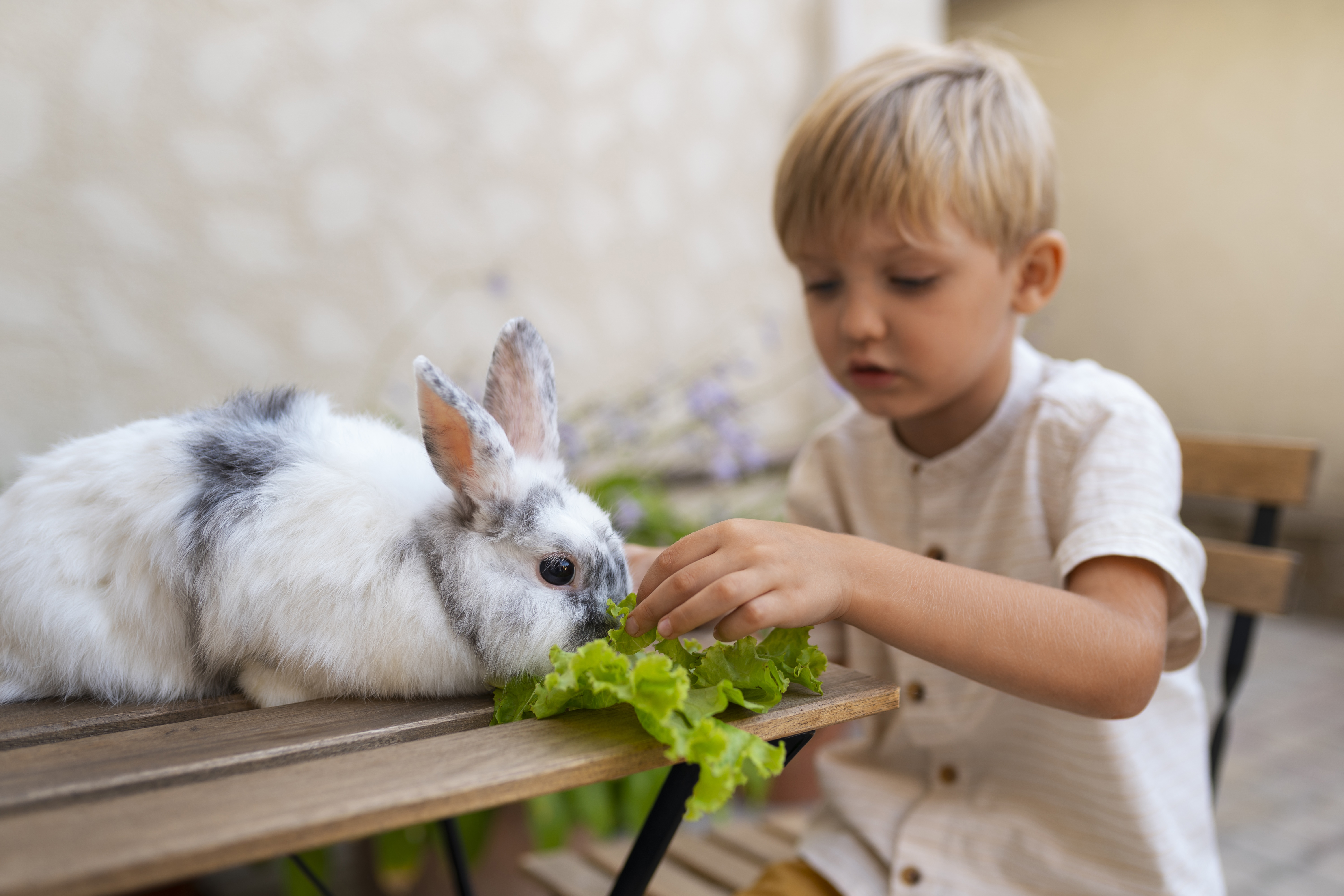 Image média: Création d'un livret écolier d'éthique animale
