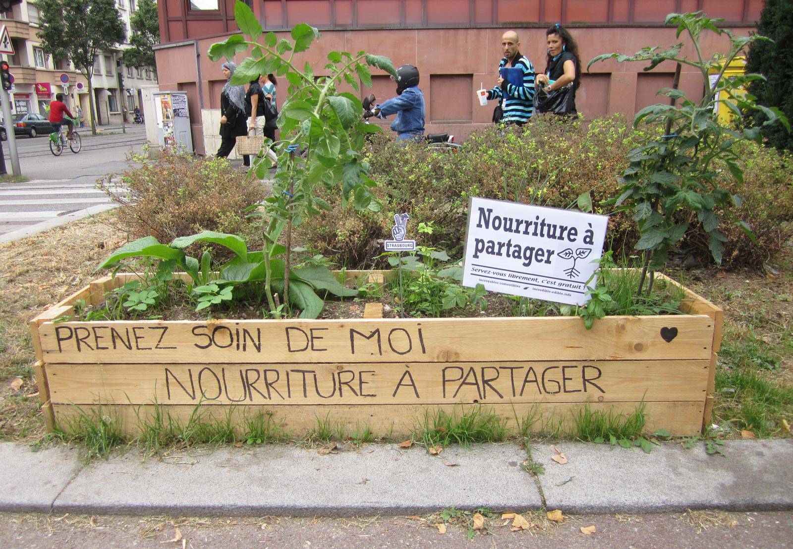 Image média: Jardinières publiques en libre accès : planter, arroser, récolter, partager !