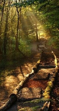 Image média: Un parcours pieds nus en accès libre