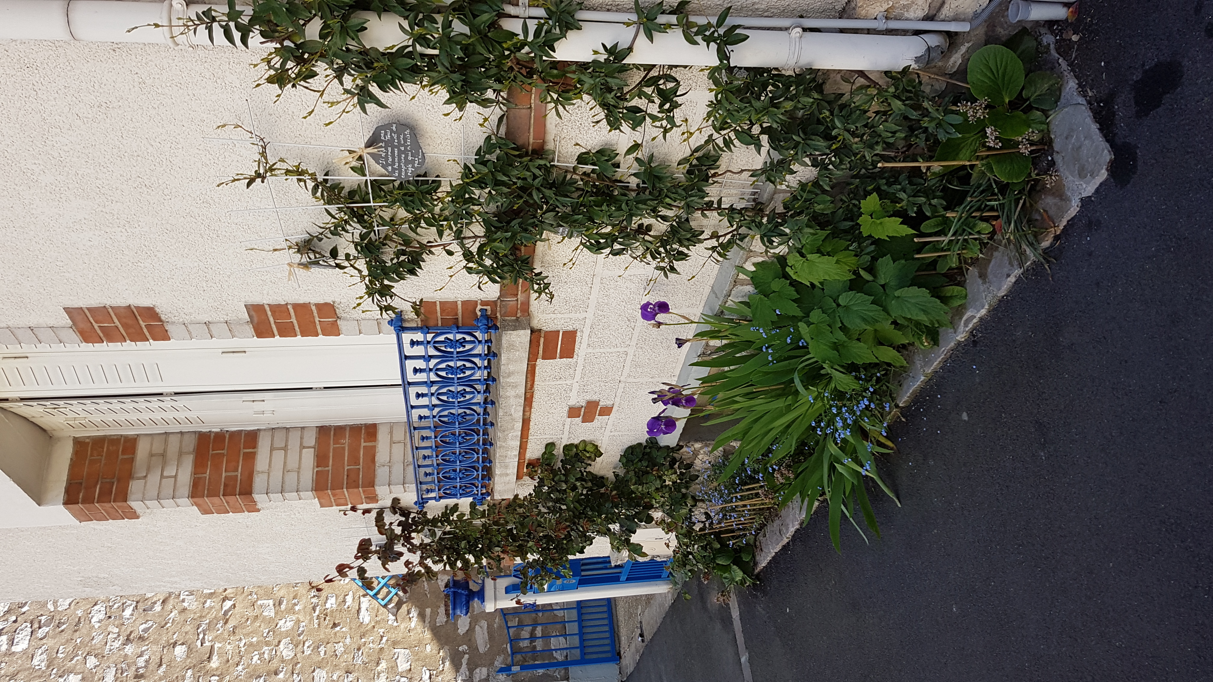 Image média: Fleurissement participatif