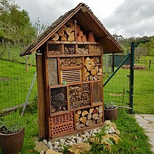 Image média: Installation d'hôtel à insectes