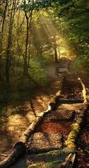 chemin