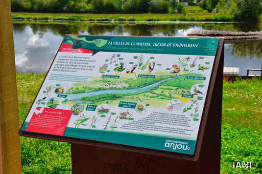 Image média: A la découverte de notre faune et flore du bord de Loire