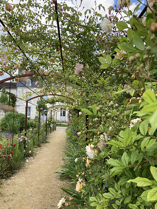 Image média: Poursuivre l'embellissement du Jardin d'Aliénor par une longue banquette ferrée et un accès à l'eau
