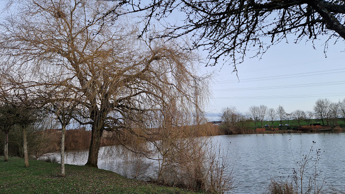 Image média: Aménagement de l'espace René Messon