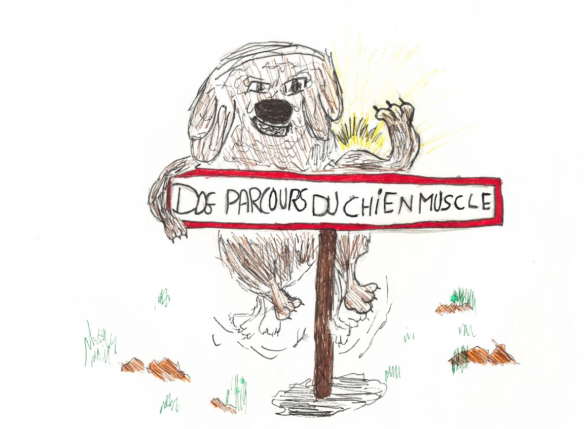 Image média: Dogs Park : Un parc ludique pour les chiens