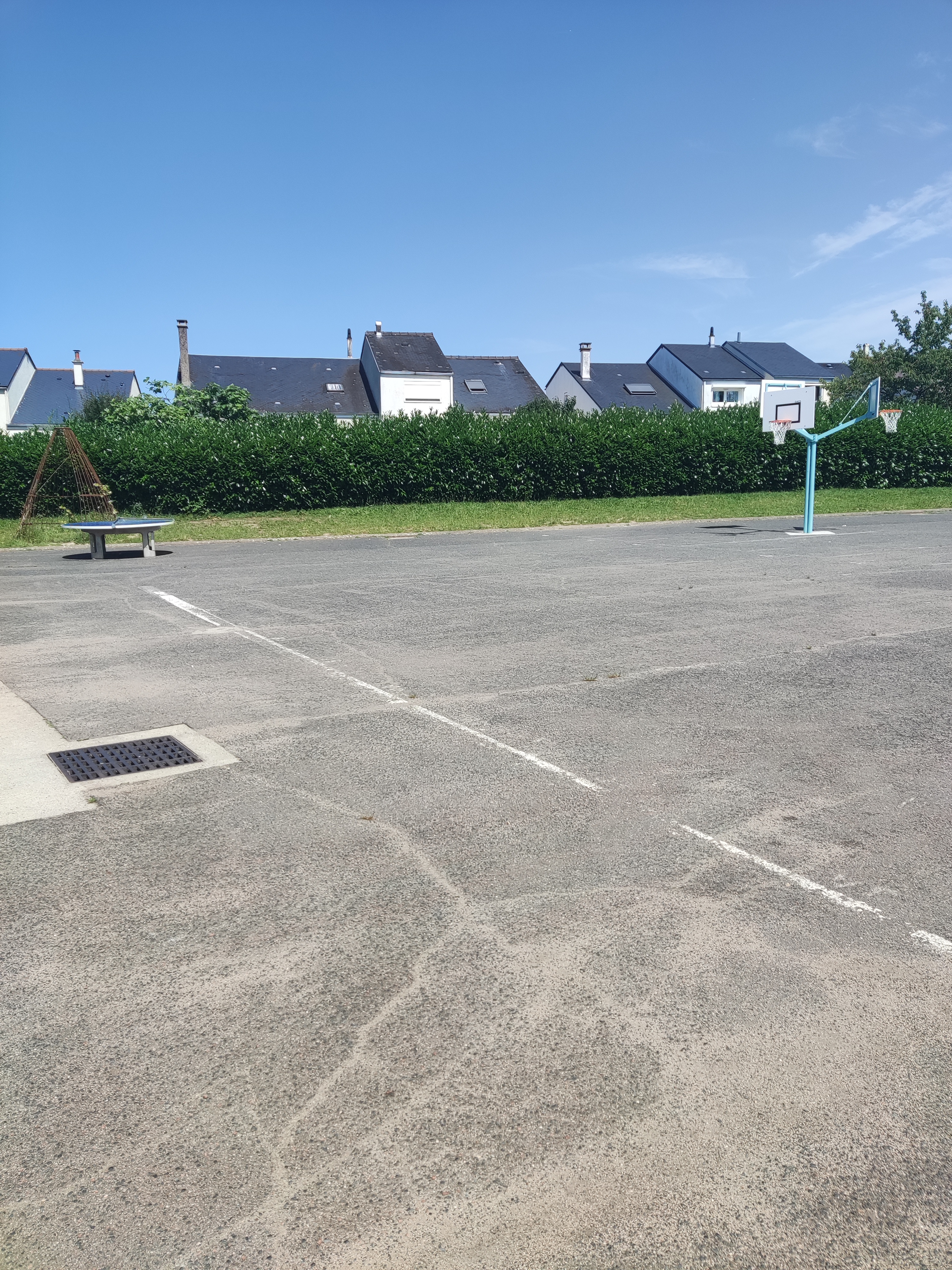 Image média: Collège Vallée Violette : bien dans son corps avec le sport