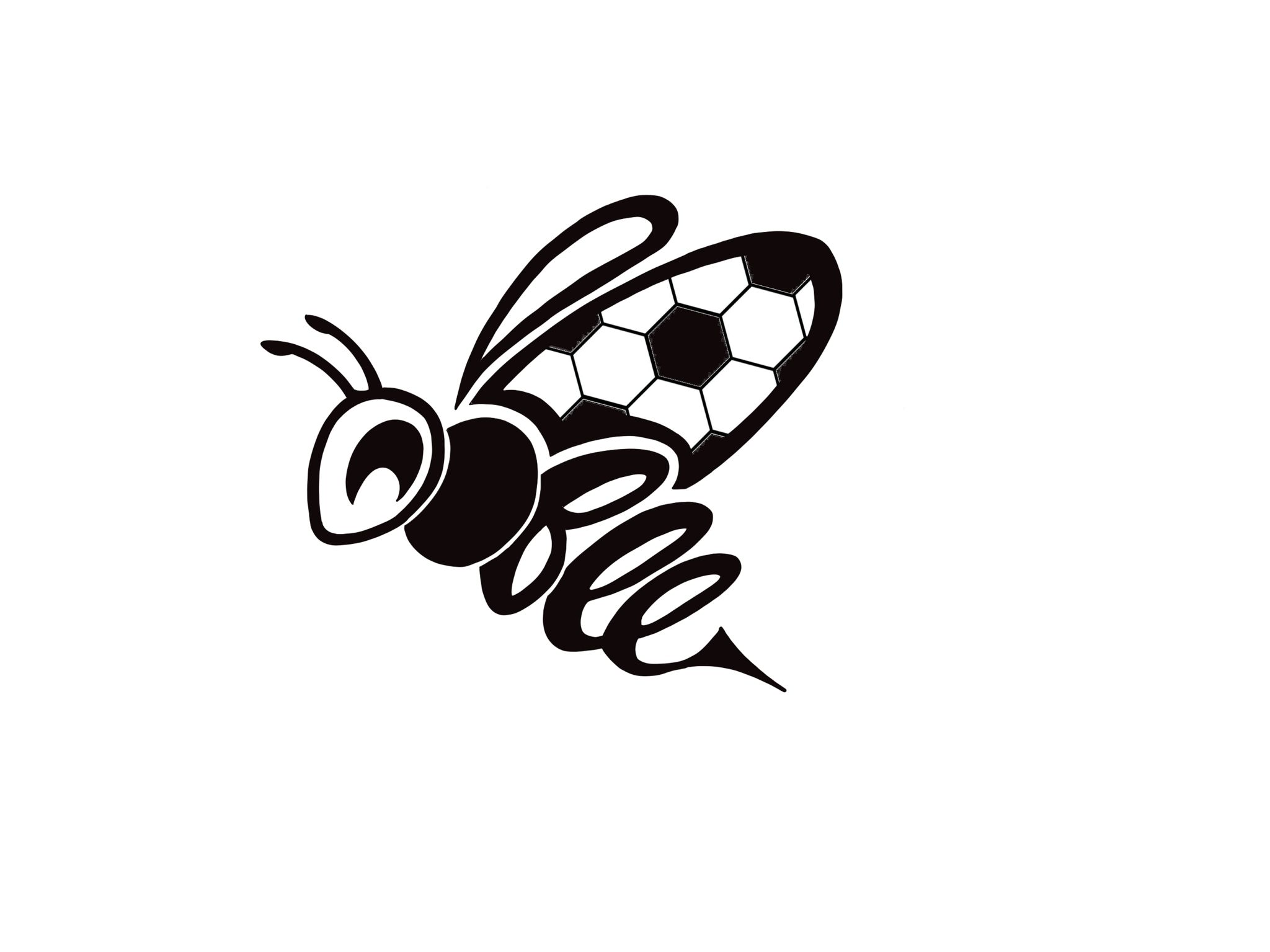 Image média: Besoins d'équipements sportifs pour Obee FC