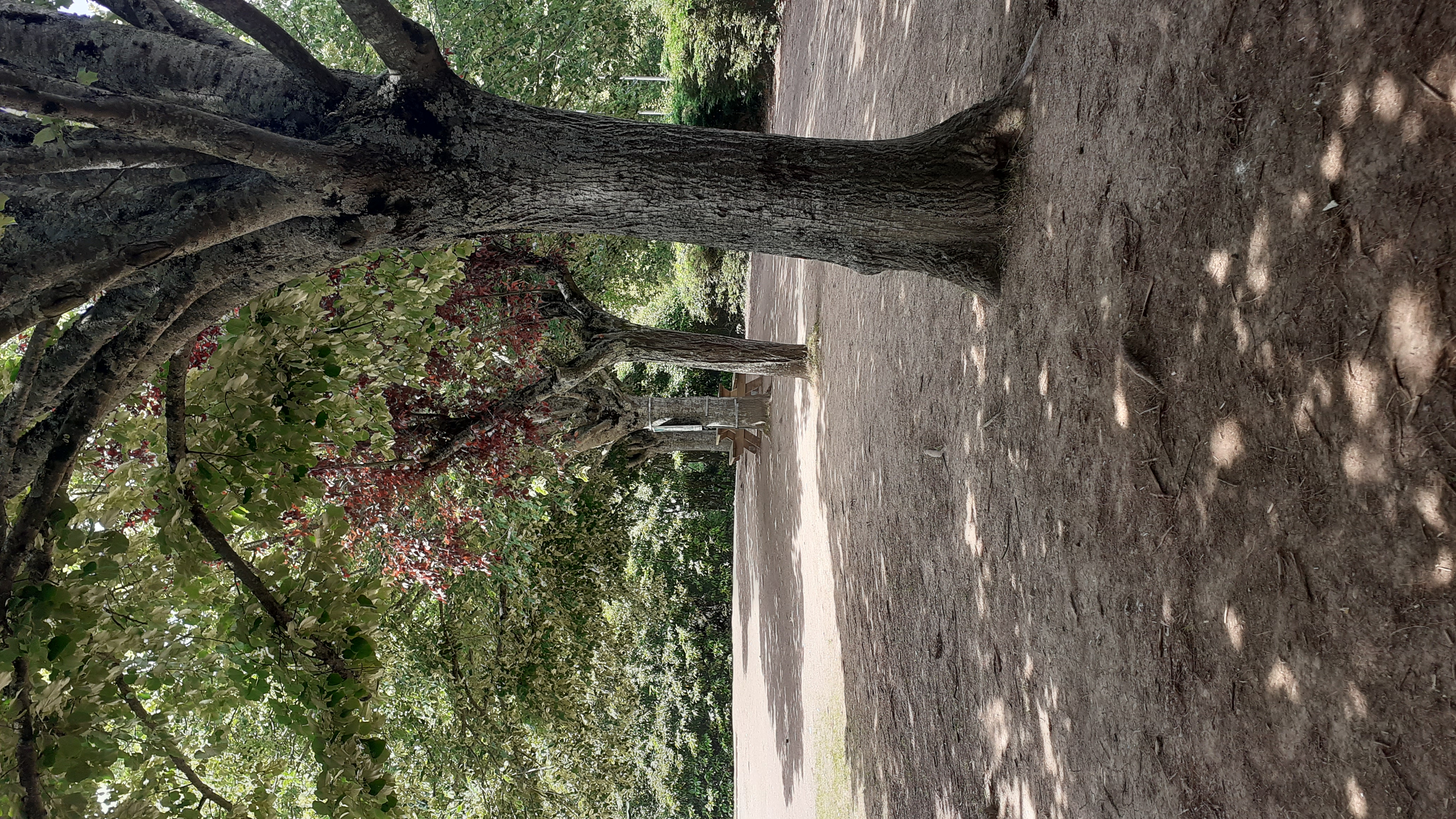 Image média: Philippe "Come in"