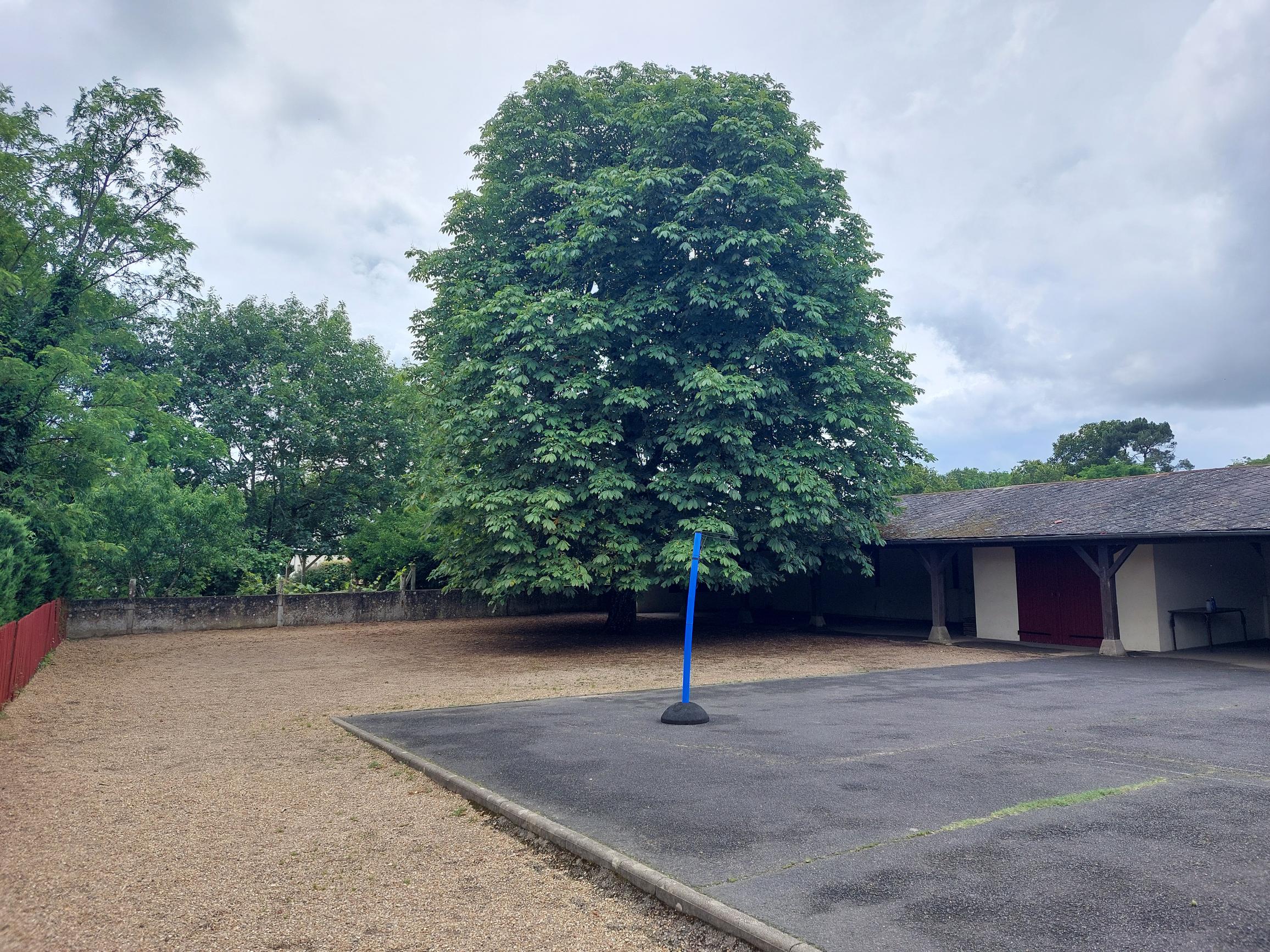 Image média: Réalisation d'une fresque du Vivre ensemble dans la cour de l'école