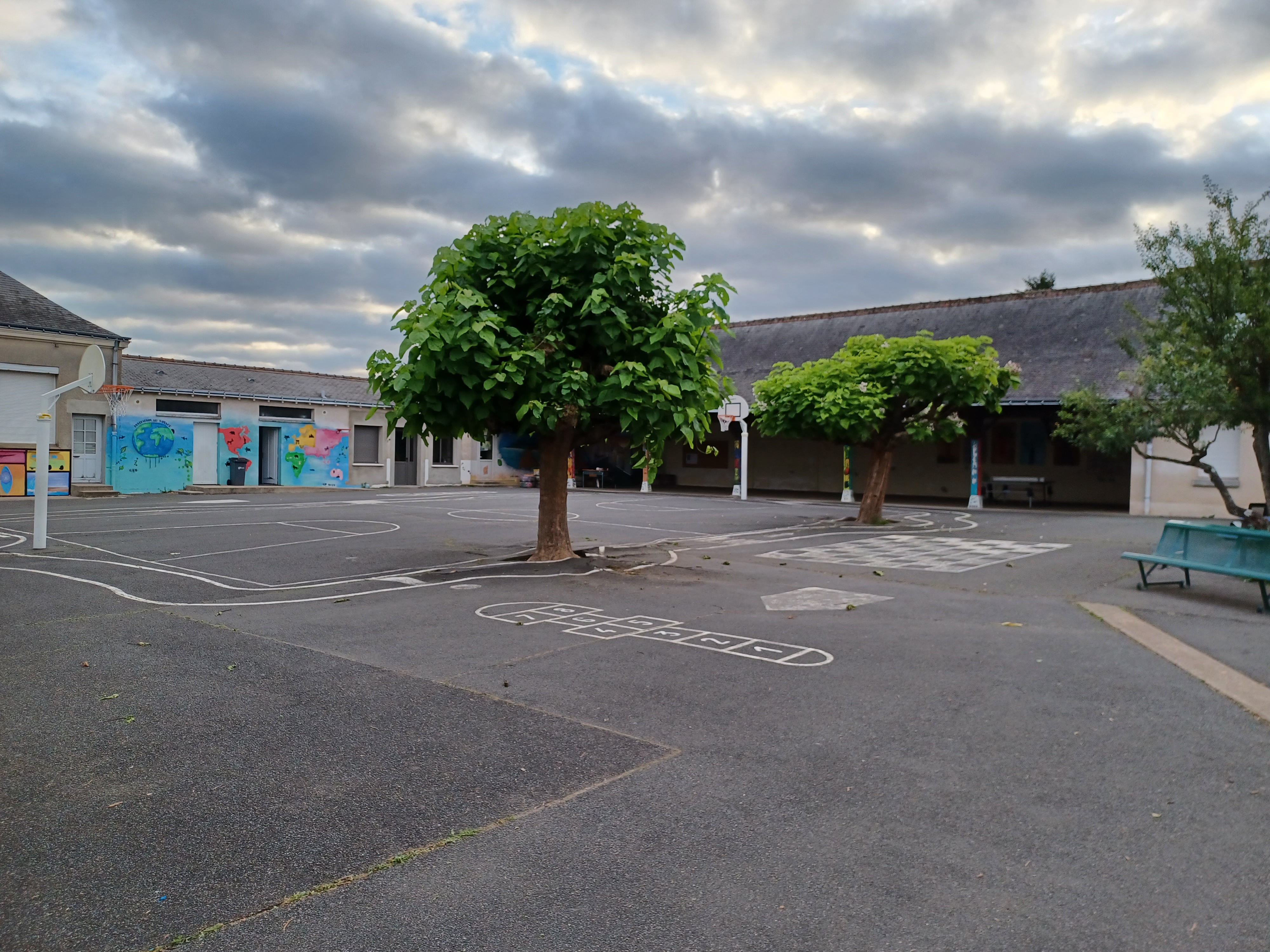 Image média: Végétalisons ensemble la cour de l'école Germaine Renauld!
