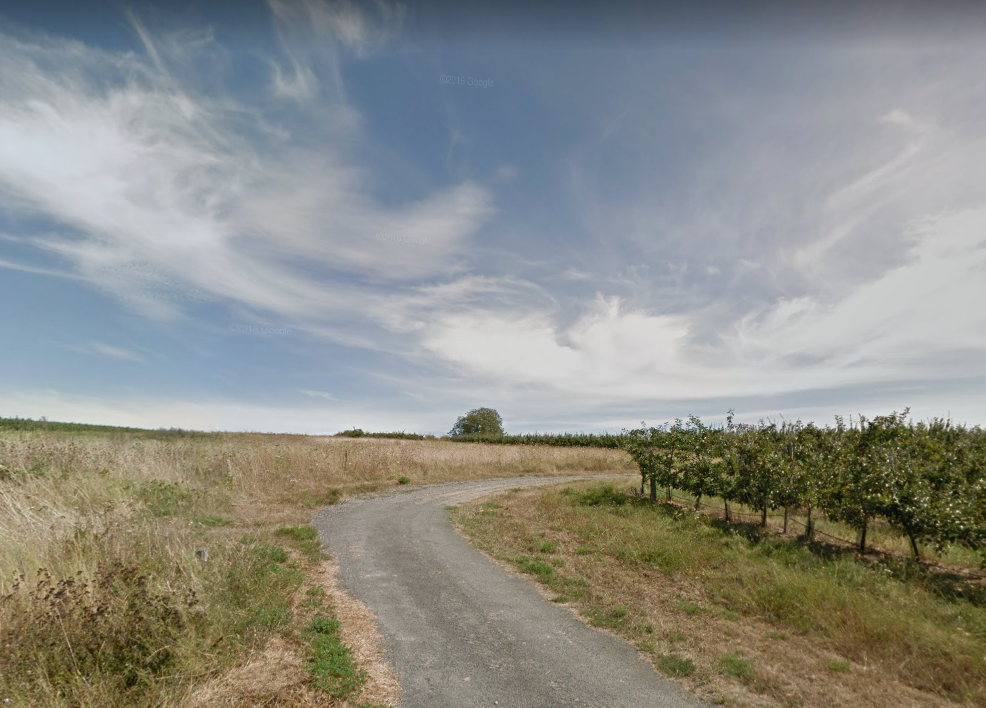 Image média: Des parcours de trail permanents à Lignières de Touraine