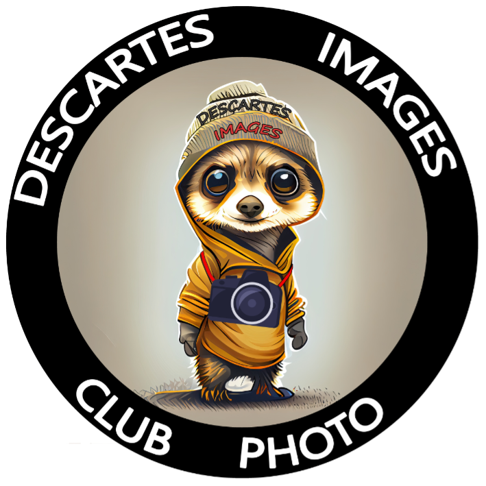 Image média: Création Studio Photo au photo club Descartes Images