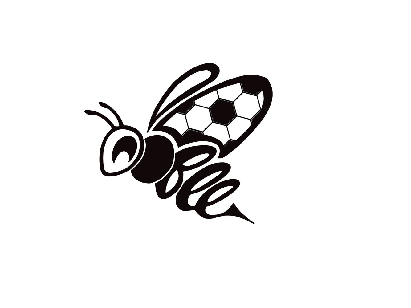 Image média: Besoins d'équipements sportifs pour Obee FC