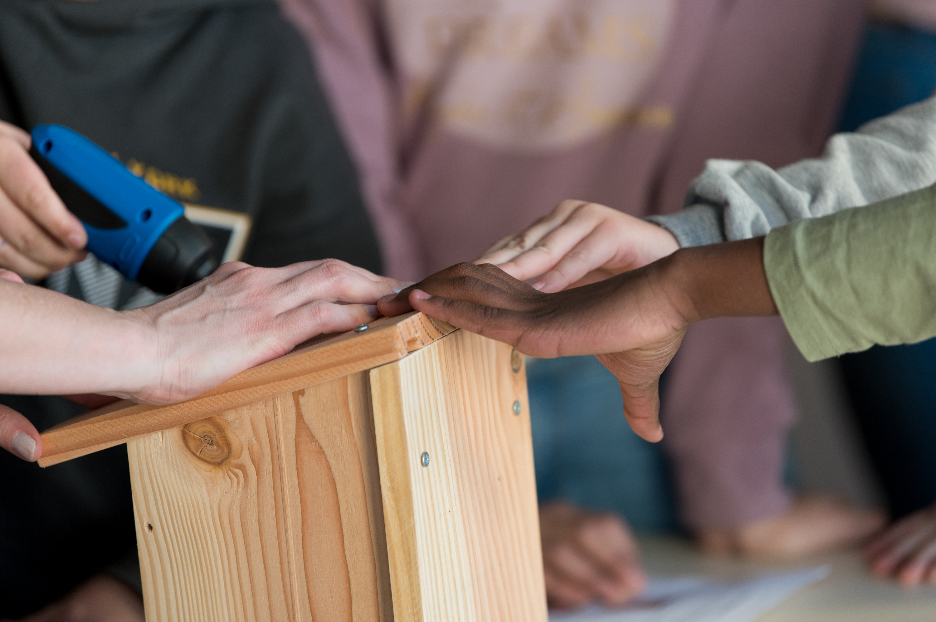 Image média: Les jeunes agissent pour la biodiversité