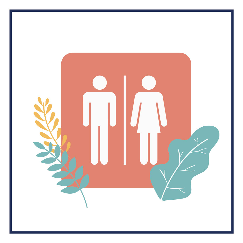 Image média: Mise en place de toilettes sèches